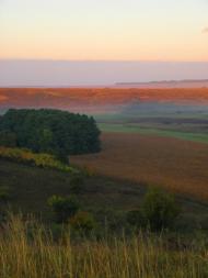 Рожаївка з panoramio.com