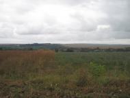 Примощаниця з panoramio.com