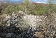 Узин з panoramio.com