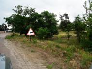 Десна з panoramio.com