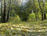 Шпитьки з panoramio.com