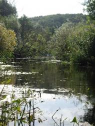 Піски-Удайські з panoramio.com