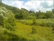 Кушкине з panoramio.com