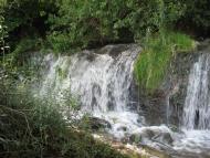 Рашків з panoramio.com