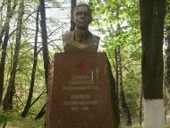 Вони захищали Батьківщину