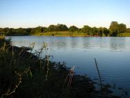 Копані з panoramio.com