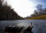 Новопілля з panoramio.com