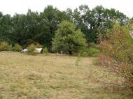 Тернівка з panoramio.com