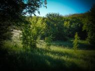 Грушківка з panoramio.com