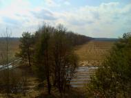 Гамаліївка з panoramio.com