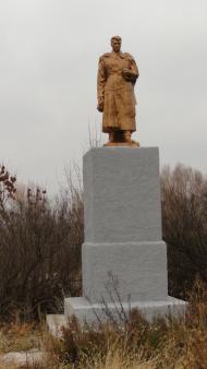 Гвоздиківка з panoramio.com