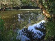 Троянівка з panoramio.com