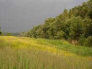 Радсело з panoramio.com