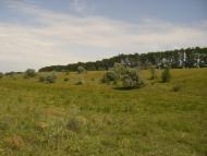 Вільнокур'янівське з panoramio.com