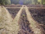 Малі Будища з panoramio.com