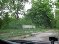 Княжин з panoramio.com