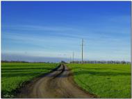 Новомар'янівське - Останні фото