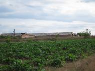 Язвинки з panoramio.com