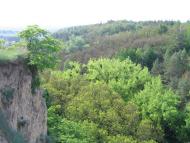 Великі Дмитровичі з panoramio.com