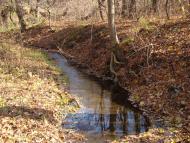 Бокове-Платове з panoramio.com