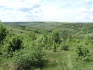 Виноградне - Останні фото