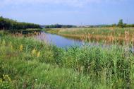 Булгаківка з panoramio.com