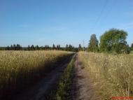 Макове з panoramio.com