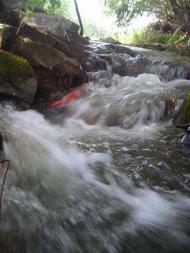 Велика Мечетня з panoramio.com