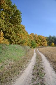 Нові Безрадичі з panoramio.com