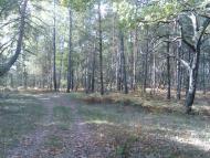 Гукове з panoramio.com