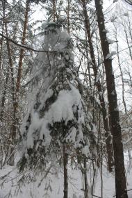 Суховоля з panoramio.com