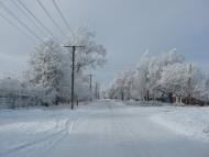 Новодар'ївка з panoramio.com