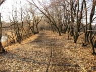 Новодар'ївка з panoramio.com