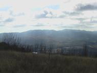 Земляничне з panoramio.com