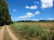 Головеньки з panoramio.com