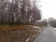 Шпитьки з panoramio.com