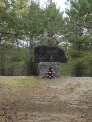 Троянівка з panoramio.com