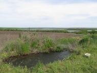 Макорти з panoramio.com