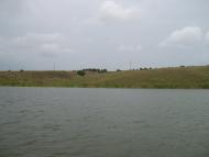 Питомник з panoramio.com