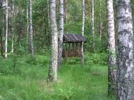 Струмок з panoramio.com