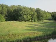 Тишківка - Останні фото