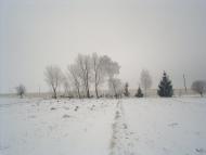 Теліжинці з panoramio.com