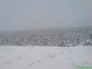 Костюки з panoramio.com