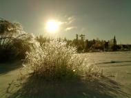 Волиця з panoramio.com