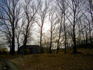 Новопілля з panoramio.com