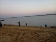 Жайворонки з panoramio.com