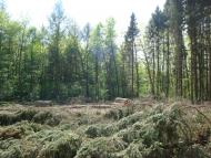 Карпівці з panoramio.com