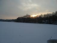 Сад з panoramio.com