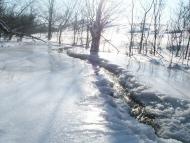 Микишівка з panoramio.com