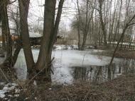 Мостове у лютому 2014